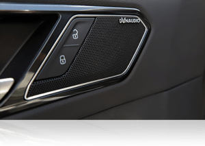 Dynaudio Sound System
